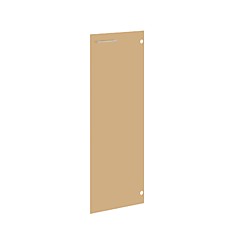 Дверь стеклянная XGD42